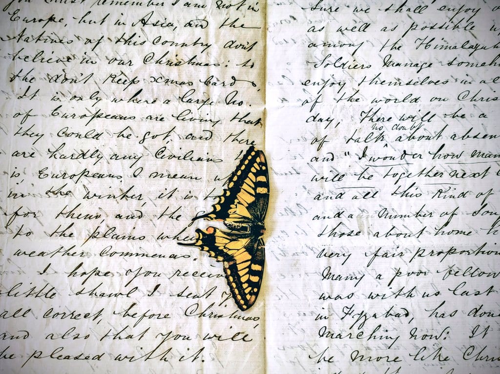 The Letters of Thomas Rogers Continued…